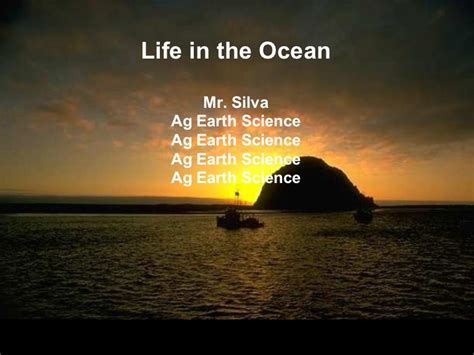 82 Life In The Ocean
