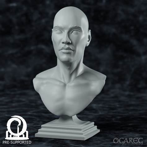3d Printable Academic Human Bust Presupported By Ogareg Miniatures