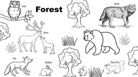Check spelling or type a new query. Wild and domestic animals. Habitats.