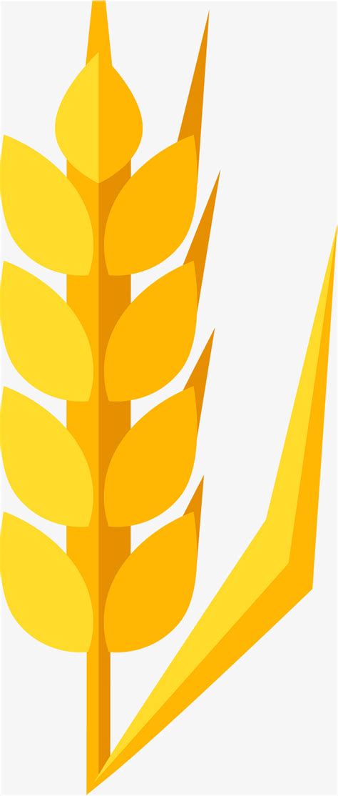 In this dish, the herbs and spices are subtle and compliment. بسيطة الأرز الأصفر أصفر بسيطة سنابل الرز PNG صورة للتحميل ...