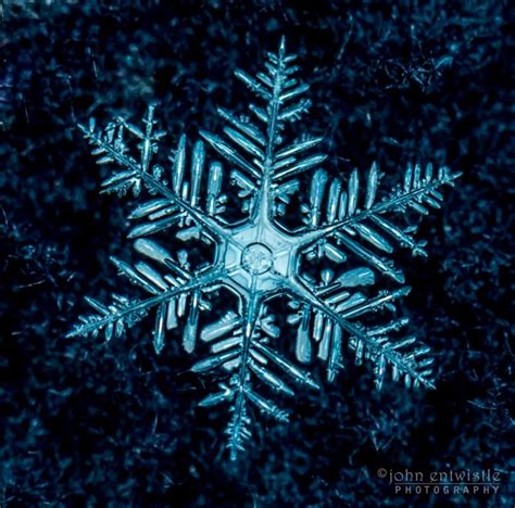 Best Photos Snowflakes Earth Earthsky