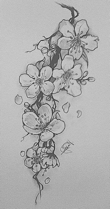 Cherry Blossom Blossom Tattoo Cherry Blossom Tattoo Design Cherry