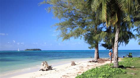 Travel Saipan Best Of Saipan Visit Northern Mariana Islands Expedia