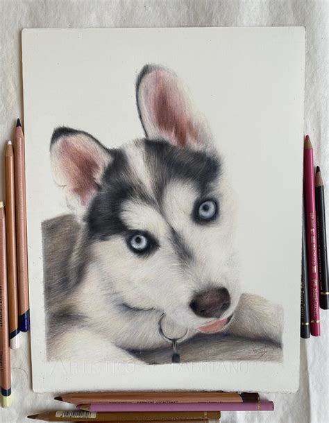 Just Wanted To Share A Drawing I Did Of A Husky Dog Using Colored