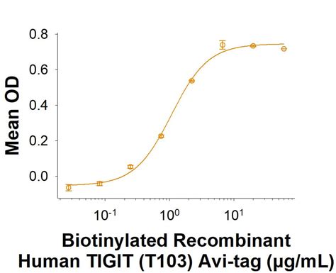 Recombinant Human TIGIT A103 Fc Chimera Protein CF 7898 TGB 100 R D