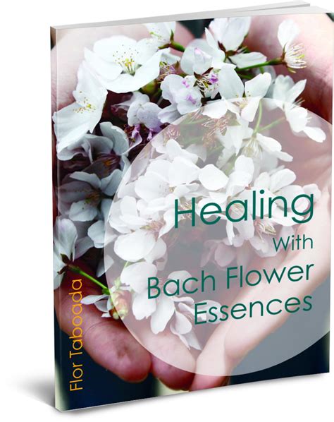 Flower Essences Flor Taboada Healing And Mentoring