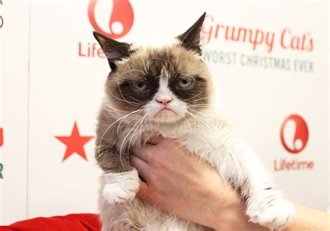 Grumpy Cats Worst Christmas Ever Interview Popsugar Tech