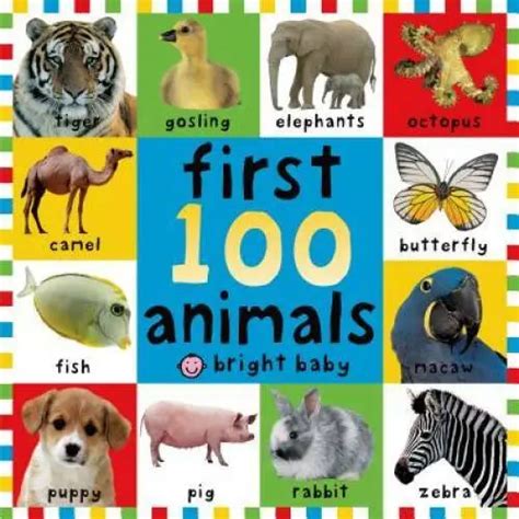 First 100 First Book Of Prayers By Roger Priddy English Board Book