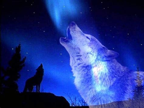 Wolves Howling At The Moon Wallpapers Free Download