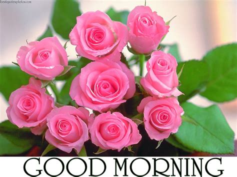 ● the fresh flowers bloom unhindered, and my merry heart does likewise now. good-morning-rose-flower-wish-friends-pics-mojly-images-Good-Morning-Fresh-Pink-Roses-Flowers ...