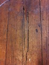 Images of Termites Hardwood Floors
