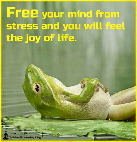 Free Your Mind From Stress And You Will Feel The Joy Of Life