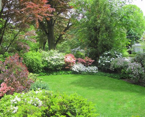 Front Garden Shrub Borderbetsy Leavitt Landscape Designer Shade
