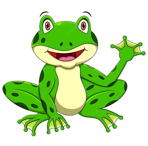 Frog Png Images Free Download High Quality Artwork In Png Format