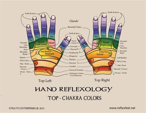 Reflexology Hand Chart Chakra Reflexology Hand Chart