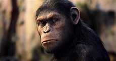 Filmkritik: Planet der Affen - Prevolution