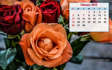 February 2023 Calendar Wallpaper 2048x2048