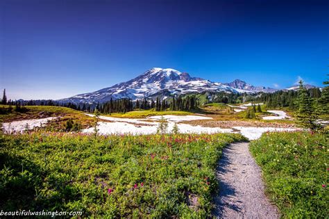 Mount Rainier Deceptive Enchantment Of The Most Prominent