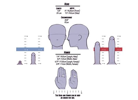 A327 Penis Proportion Chart By Jamesab Hentai Foundry