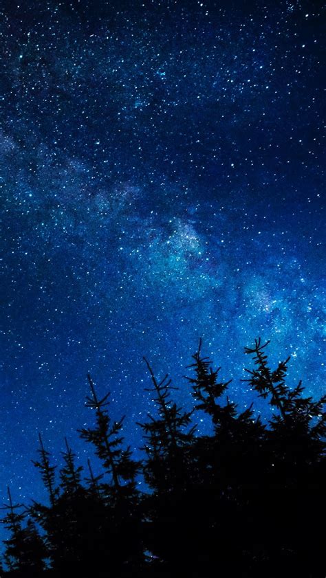 Download Wallpaper 800x1420 Starry Sky Night Stars Glitter Trees