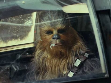 Did Chewbacca Eat A Porg Celebrityfm 1 Official Stars Business