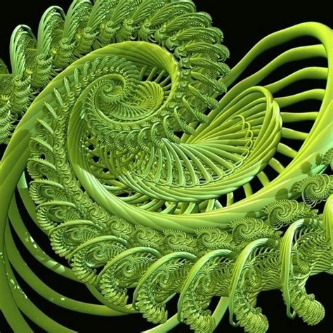 Image Result For Fractals In The Plant World Geometry In Nature