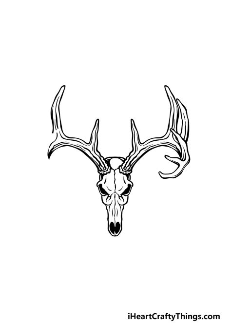 Deer Antlers Drawing