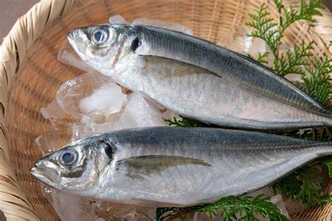 Jurel El Pescado Con Un Valor Nutricional Importante Mejor Con Salud