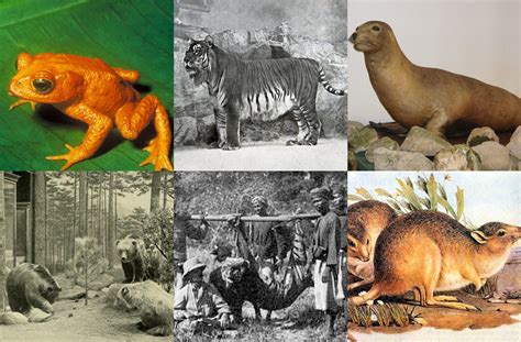 Which Animal Species Went Extinct In The Year You Were