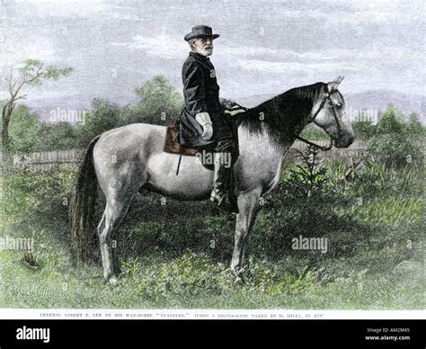 Confederate General Robert E Lee On His Favorite War Horse Traveler