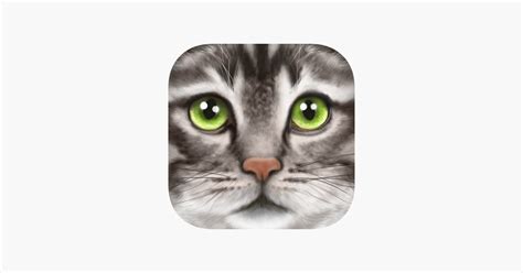‎ultimate Cat Simulator On The App Store