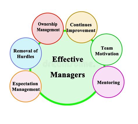 Functions Of Effective Managers Stock Illustration Illustration Of
