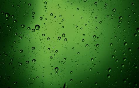 Wallpaper Drops Macro Bubbles Texture Green Bubbles Water Drops