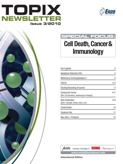 Cell Death Cancer And Immunology Enzo Life Sciences
