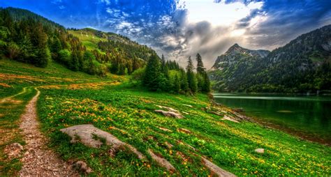 Nature Landscape Lake Mountain Forest Wildflowers