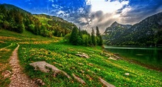 nature, Landscape, Lake, Mountain, Forest, Wildflowers, Spring, Pine ...