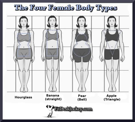 The Four Female Body Types Fit Desk Jockey Real Fitness For Real