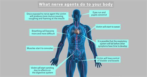 This Is What Nerve Agents Do To Your Body Metro News