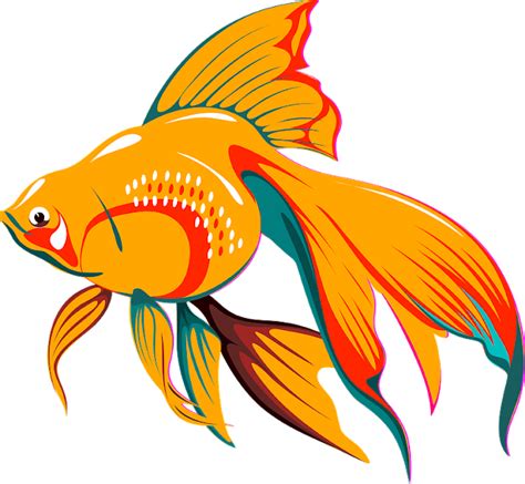 Goldfish Koi Aquarium Clip Art Outline Drawing For Tropical Fish