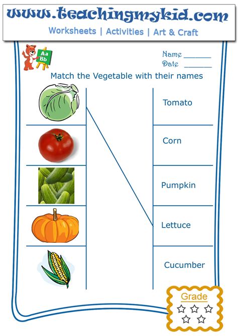 vegetable worksheets  preschool  worksheet blog
