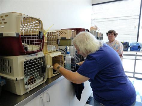 Feral Cat Spay Neuter Project Is Featured In An Article Written By