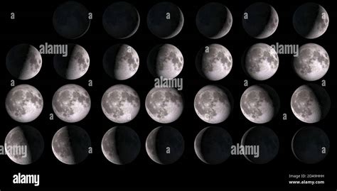 Moon Calendar Set Of Moon Phases Elements Of This Image Furnished By