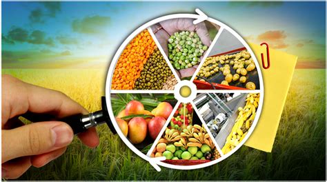 Agro Processing Cluster Market Research Archives Global Market Database