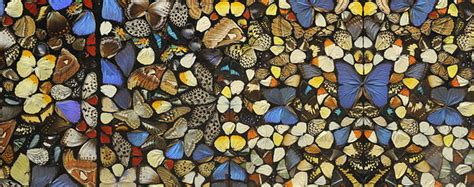 Painting Collage Damien Hirst Real Butterflies