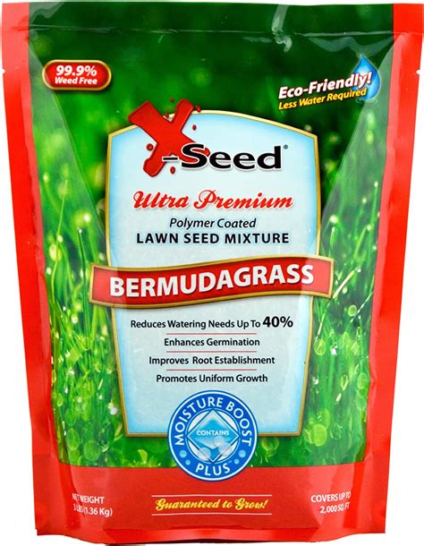 10 Best Bermuda Grass Seed Review And Comparison In 2023