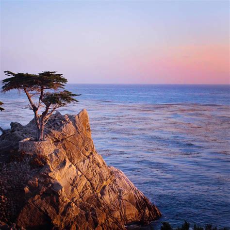 Lone Cypress 17 Mile Drive Del Monte Forest Roadtrippers Road