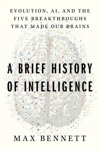 Brief History Of Intelligence Evolution Ai And The Five