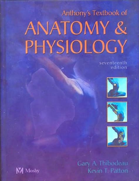 Anthonys Textbook Of Anatomy And Physiology Edition 17 By Norman T