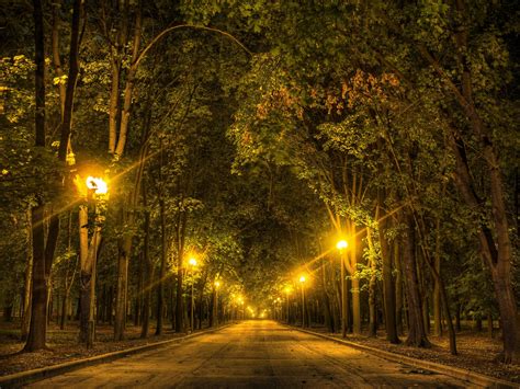 Road Trees Night Lights Autumn Forest Wallpaper 3968x2976 485569