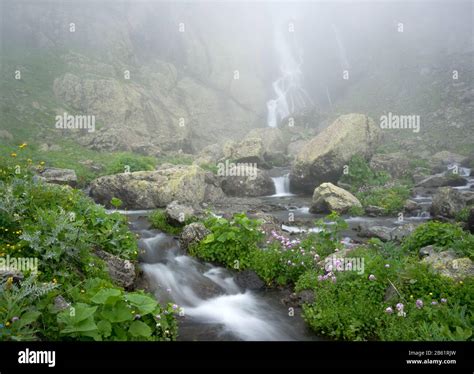 Summer In Mountains Stream And Waterfall Background Covered With Fog
